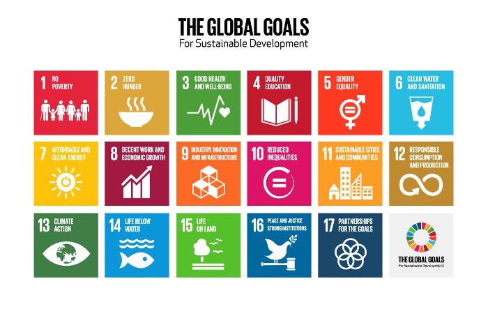 Figure (1): sustainable development goals set by the United Nations.