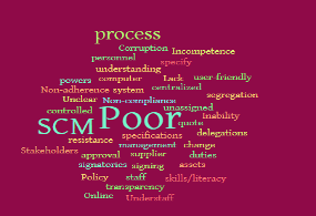Challenges encountered in implementing SCM policy