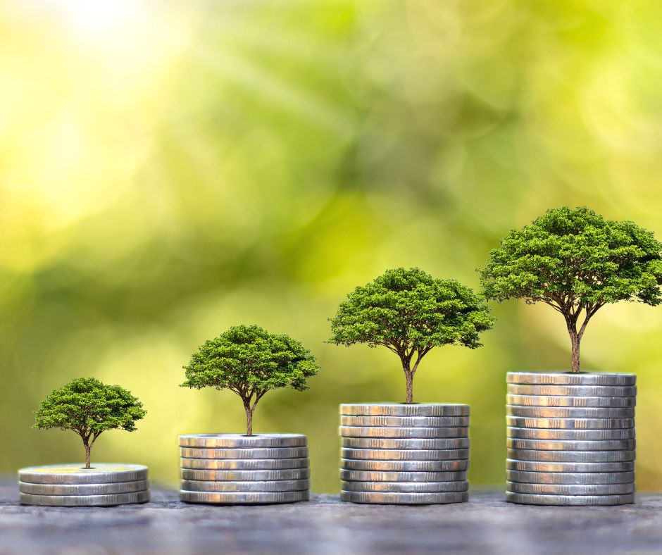 A tree growing from a pile of coins